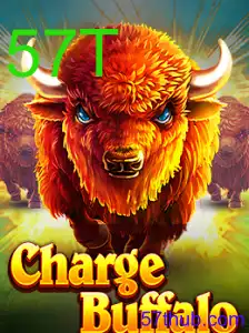ChargeBuffalo